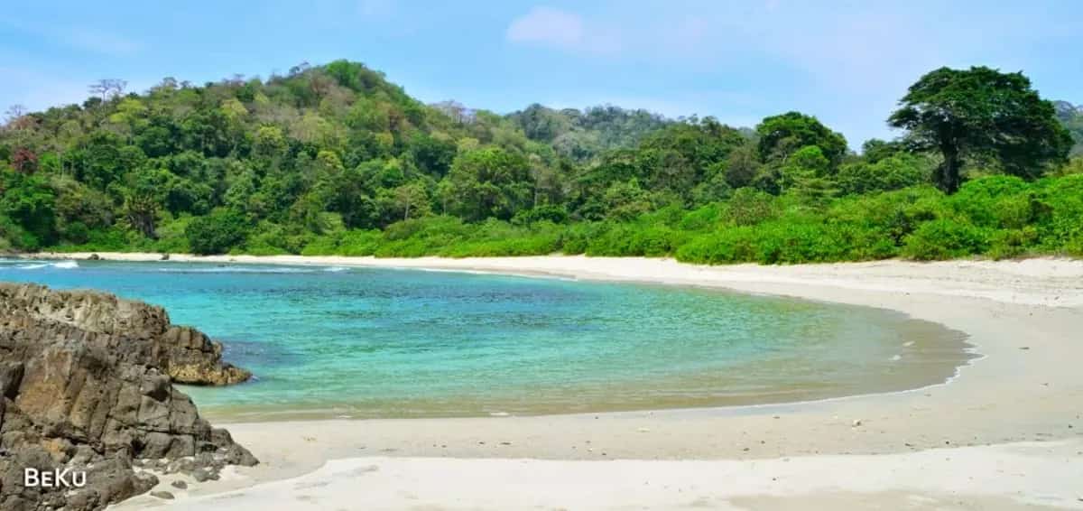 Rute Baru Trans Banyuwangi untuk Pelajar dan Pekerja